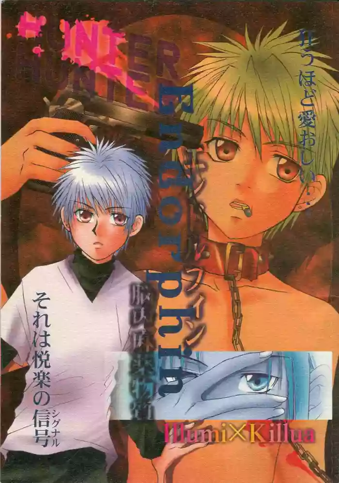 [Kamui no Matsuri (chiru azumaya)] Endorphin (Hunter x Hunter) [English] [Willeke4439] cover