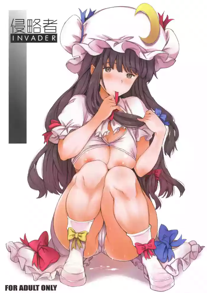 (C88) [Egao de Bouryoku (mogg)] Shinryakusha | Invader (Touhou Project) [English] [MegaFagget]