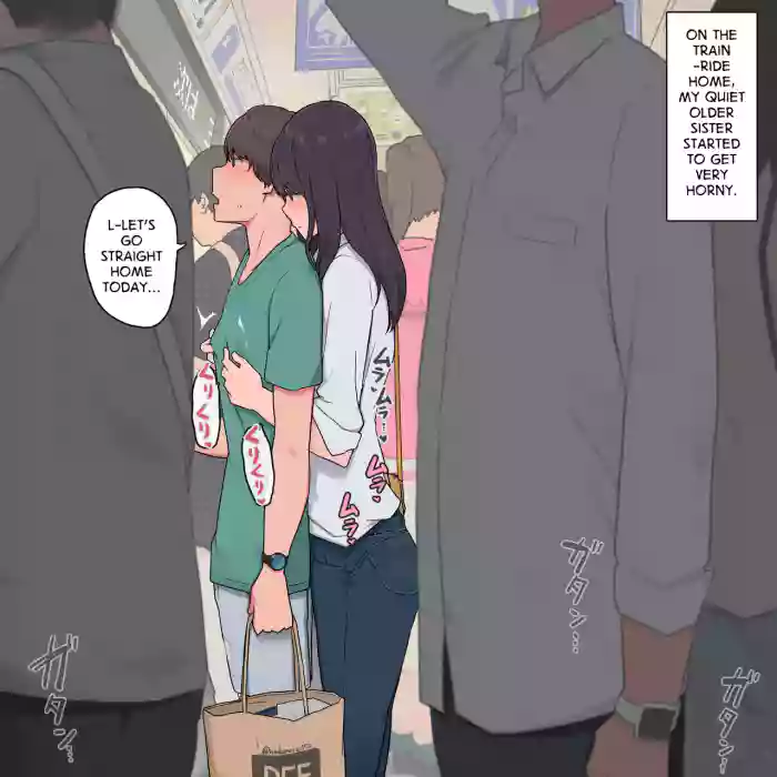 [Wakamatsu] Otouto o Isei to Shite Isshiki Shite Shimau Mukuchi na Onee-chan | A Quiet Older Sister Who Has Come to See Her Brother as a Man [English] cover