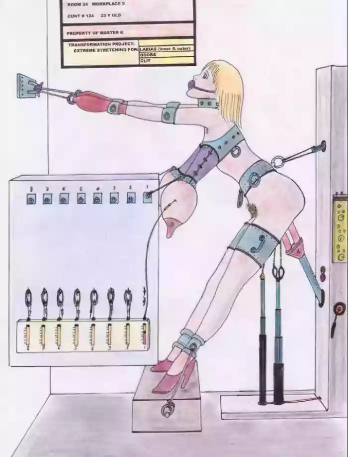 The fate of Barbara cover