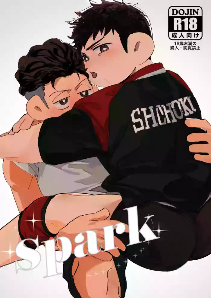 [xiaozheng] Spark (Slam Dunk) [English] [Digital] cover
