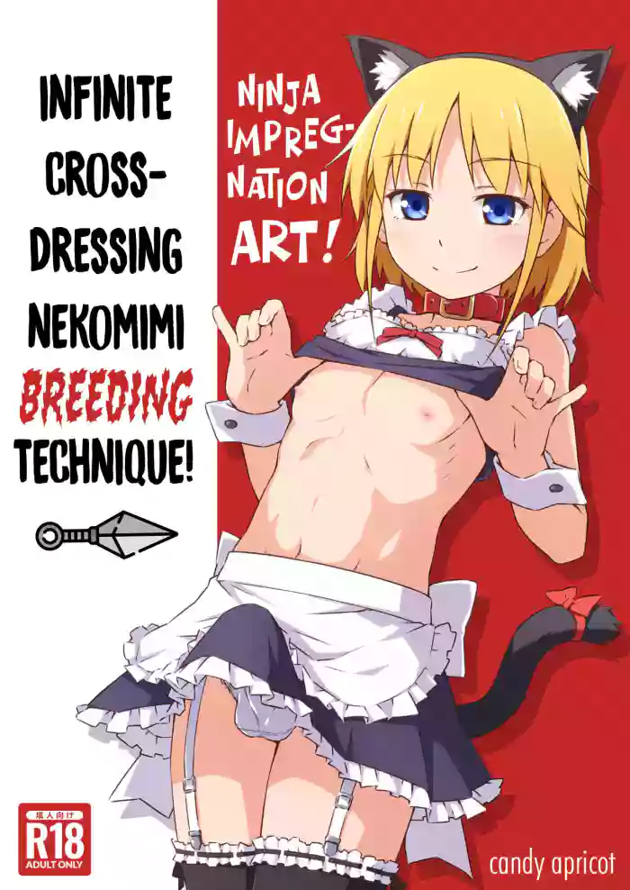 [candy apricot (Mashita)] Ninpou! Josou Nekomimi Maid Mugen Tanetsuke no Jutsu!! | Ninja Impregnation Art: Infinite Crossdressing Nekomimi Breeding Technique! [English] [Team Rabu2] [Digital] cover