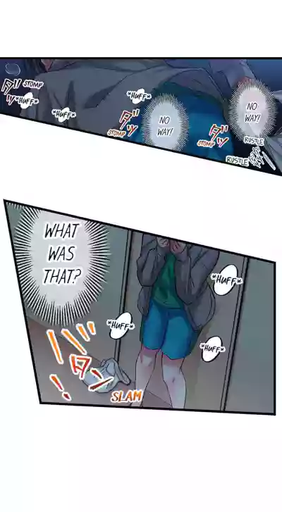Page 517