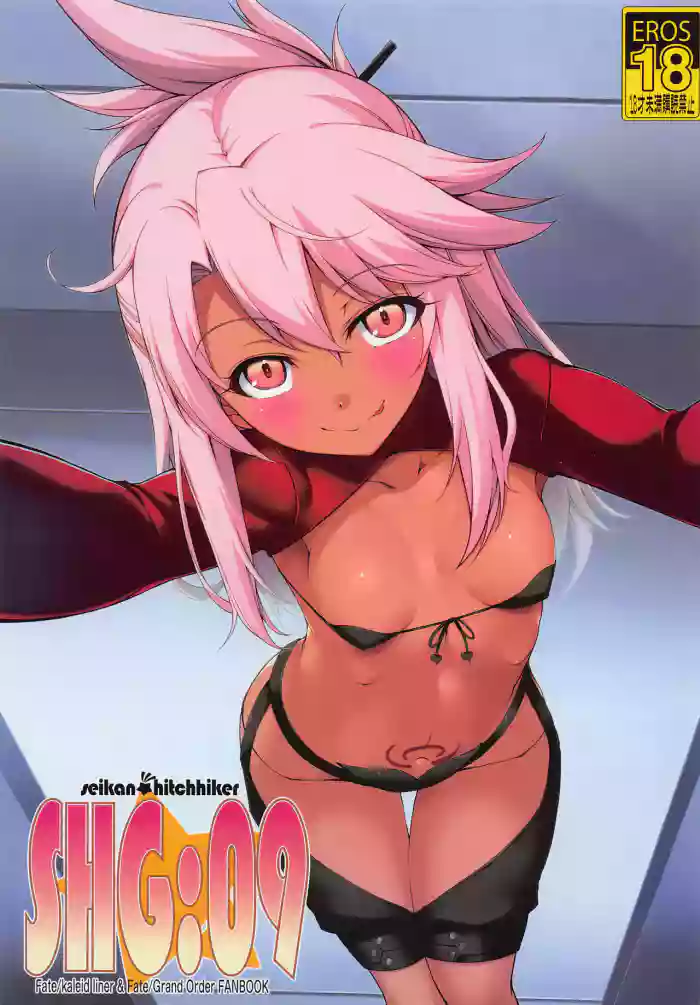 (C101) [Seikan Hitchhiker (Tsurugi Ai)] SHG:09 (Fate/kaleid liner Prisma Illya, Fate/Grand Order) [English] {Doujins.com} cover