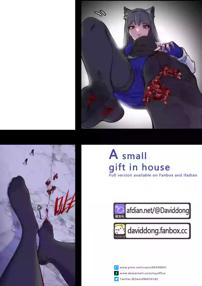 [DavidDong] - A small gift in house cover
