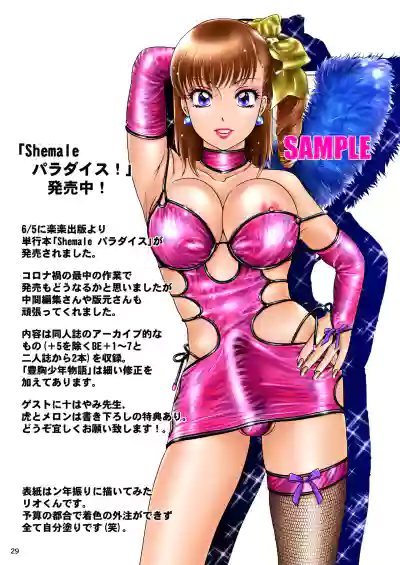 Page 29