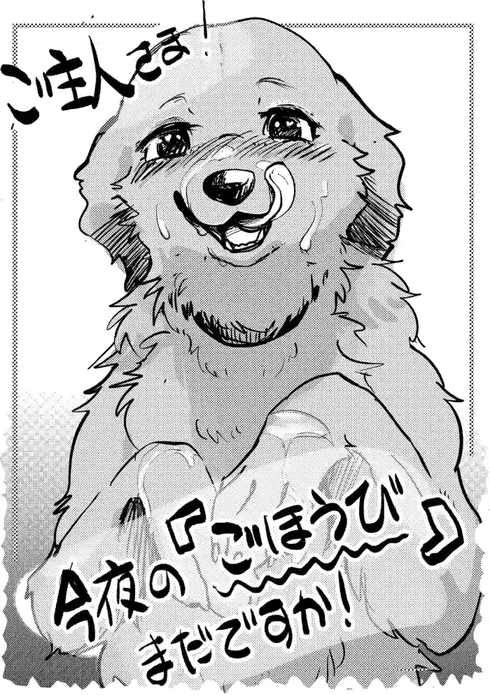 [Kon Juuichibai (Momou)] Goshujin-sama! Konya no "Gohoubi" Mada desu ka! [English] [Decensored] [Digital] cover
