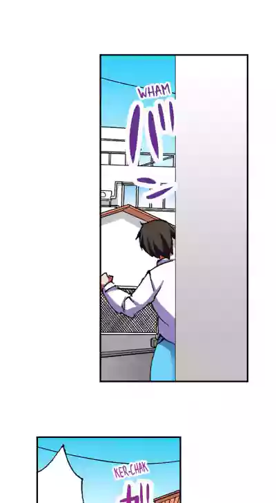 Page 517