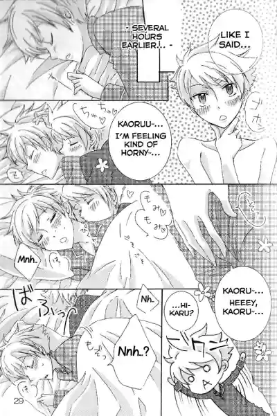 Page 29