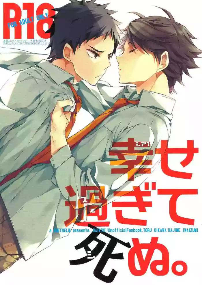 (RTS!!4) [DIETHELM (Mizuyuki)] Shiawase Sugite Shinu. | So Happy I Could Die (Haikyuu!!) [English] [Procrastination Scans] cover