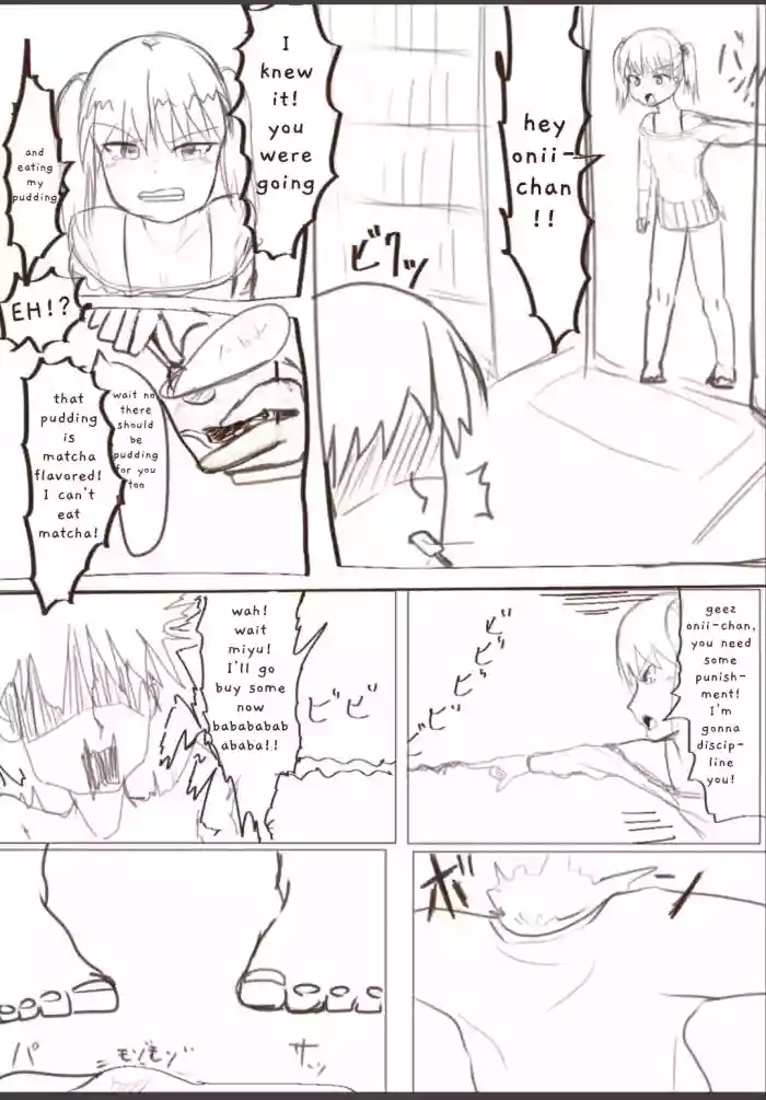 [anothertomoshib] Sister Revenge cover