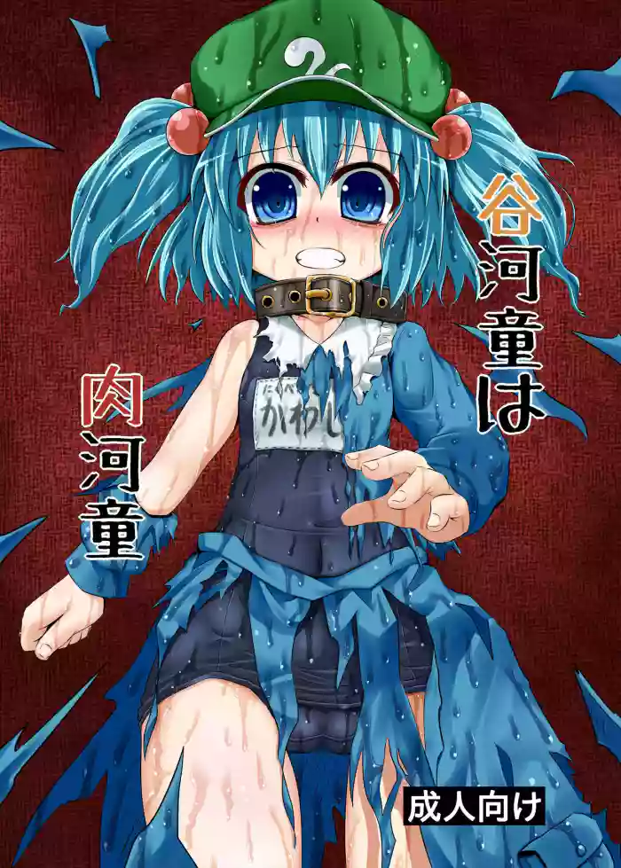 [Tonkotsu Fuumi (Poncocchan)] Tanigappa wa Nikugappa (Touhou Project) [English] [Digital] cover
