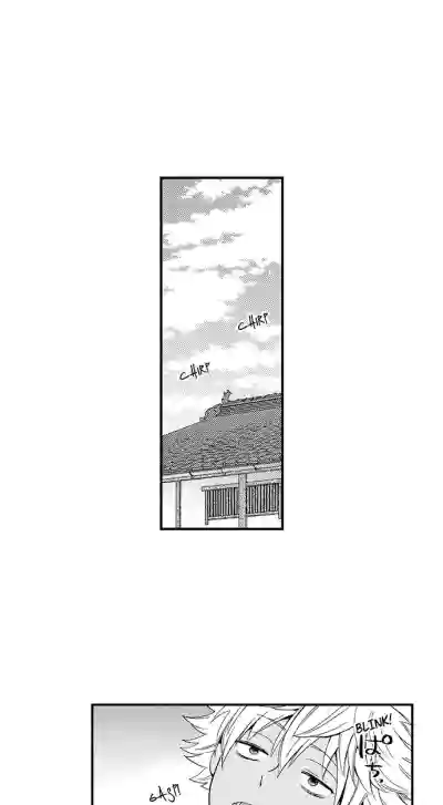 Page 294