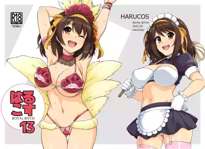 [Royal Bitch (haruhisky)] Harucos 13 (Suzumiya Haruhi no Yuuutsu) [Digital]
