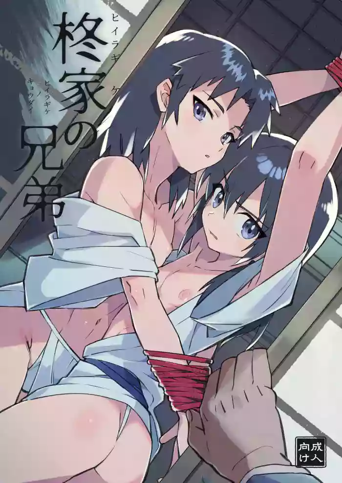 [Pometeor (Enotou)] Hiiragi-ke no Kyoudai [English] {Chin²} [Digital] cover