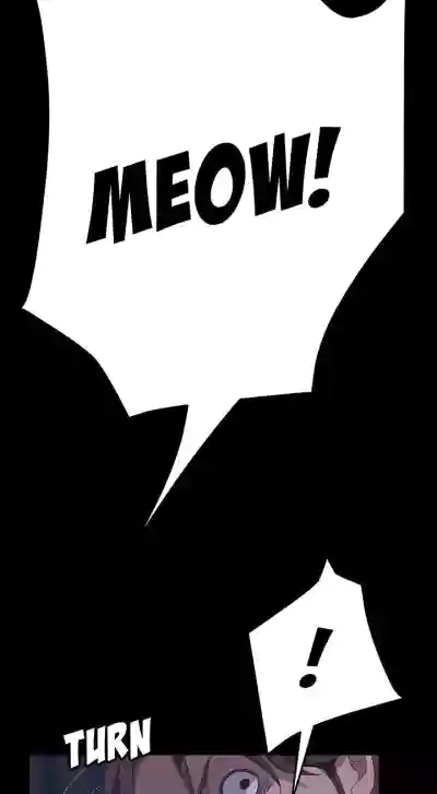 Page 517