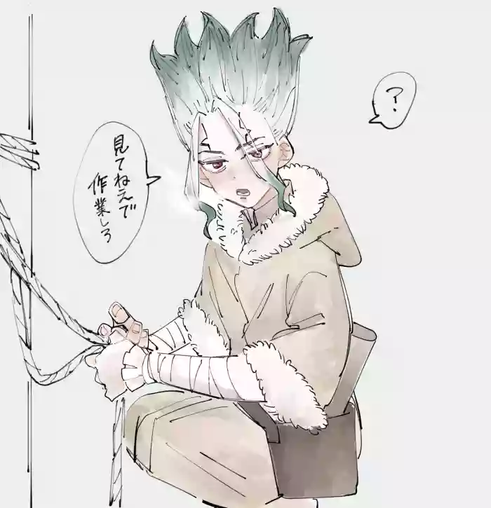 [takuanumekonbu] TsukaSen Log (Dr.STONE) cover