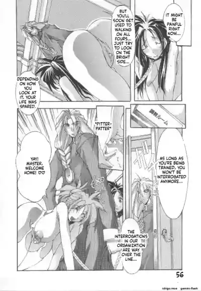Page 55