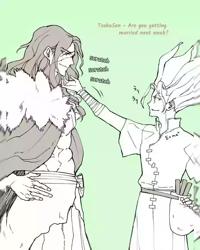 [Syrup] TsukaSen Log (Dr.STONE) cover