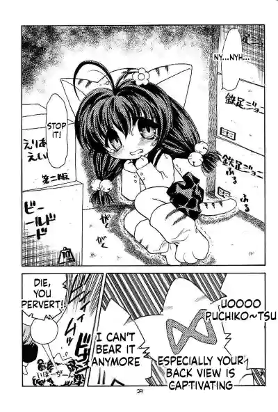 Page 29