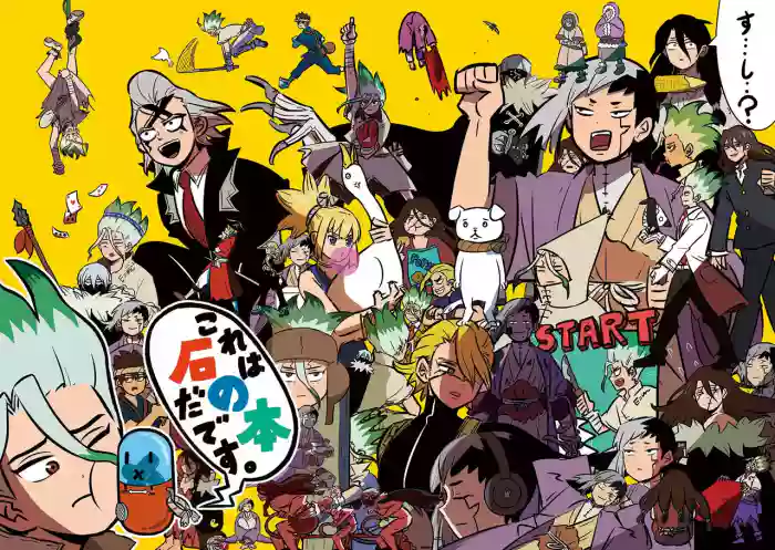 [ishikinchaku] TsukaSen Log (Dr.STONE) cover