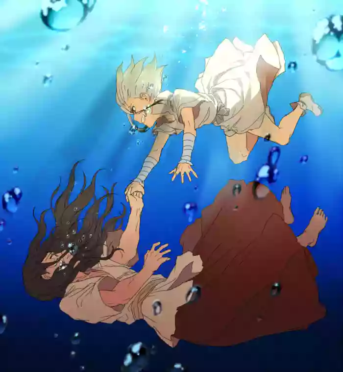 [C.G.] TsukaSen Log (Dr.STONE) cover