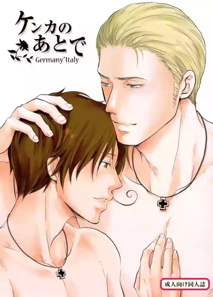 [Nikushoku Shounen (Kozakura Shou)] Kenka no Ato de (Axis Powers Hetalia) [English] cover