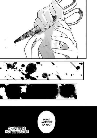 Page 312