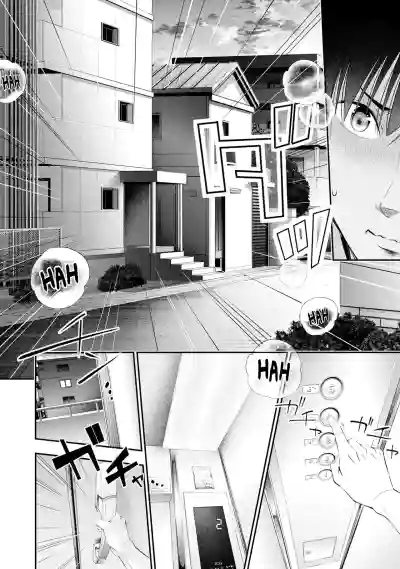 Page 516