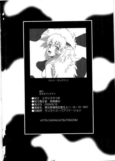 Page 117