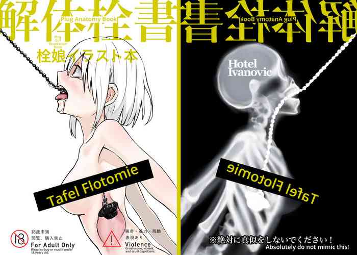 [Hotel Ivanovic (Alexei)] Kaitai Sensho | Plug Anatomy Book [English] [SharkEgg] [Digital] cover