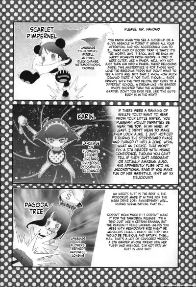 Page 211