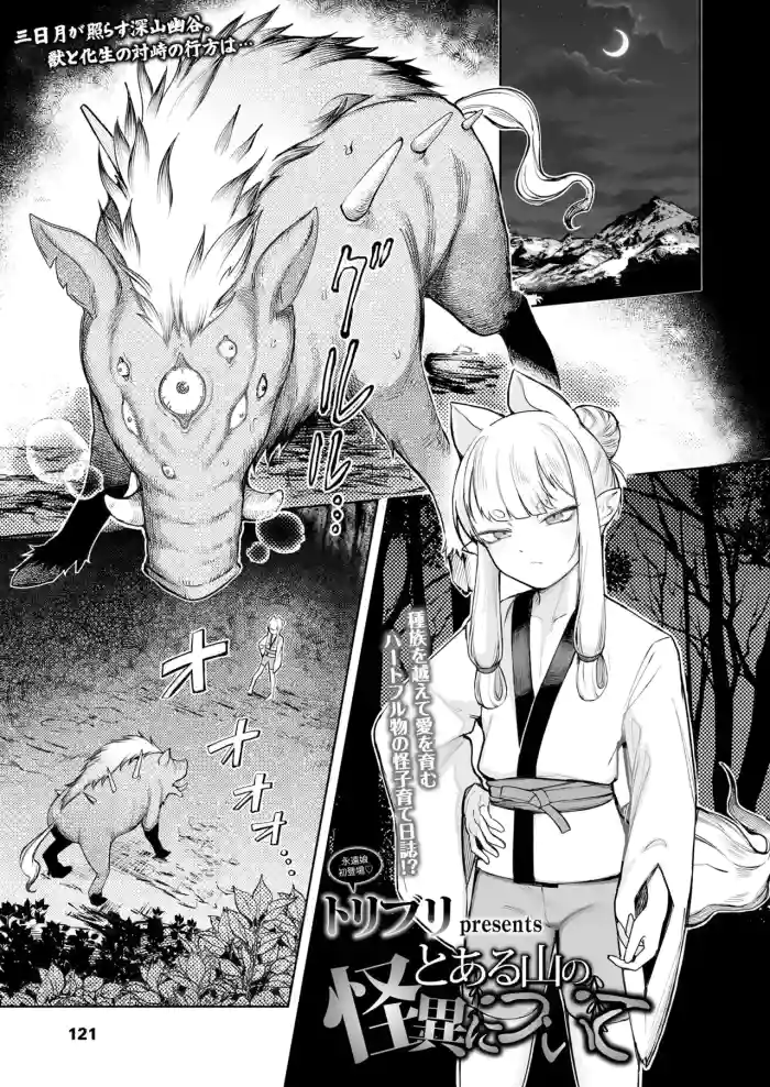 [Toriburi] Toaru Yama no Kaii ni Tsuite | The Supernatural Anomaly of a Certain Mountain (Towako 20) [English] {Mistvern} [Digital] cover